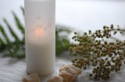 Lumino�饤�ȡ�orchard