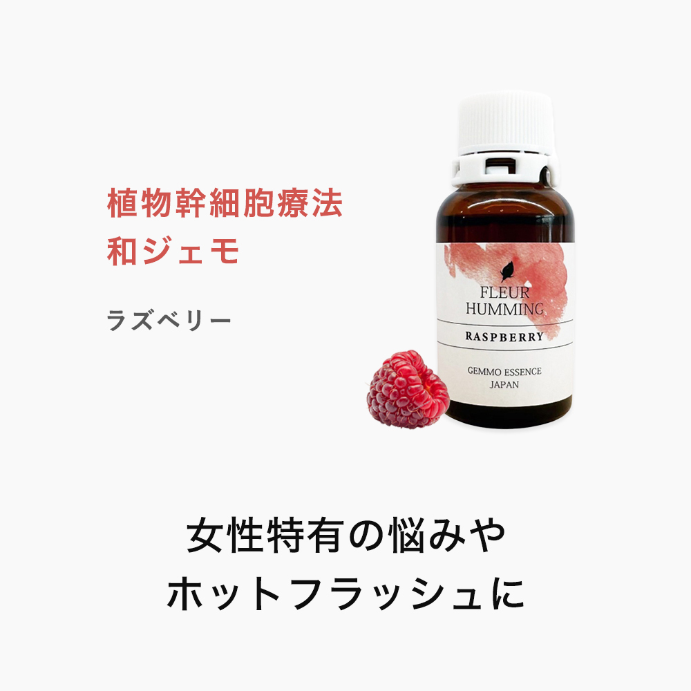 和ジェモラズベリー