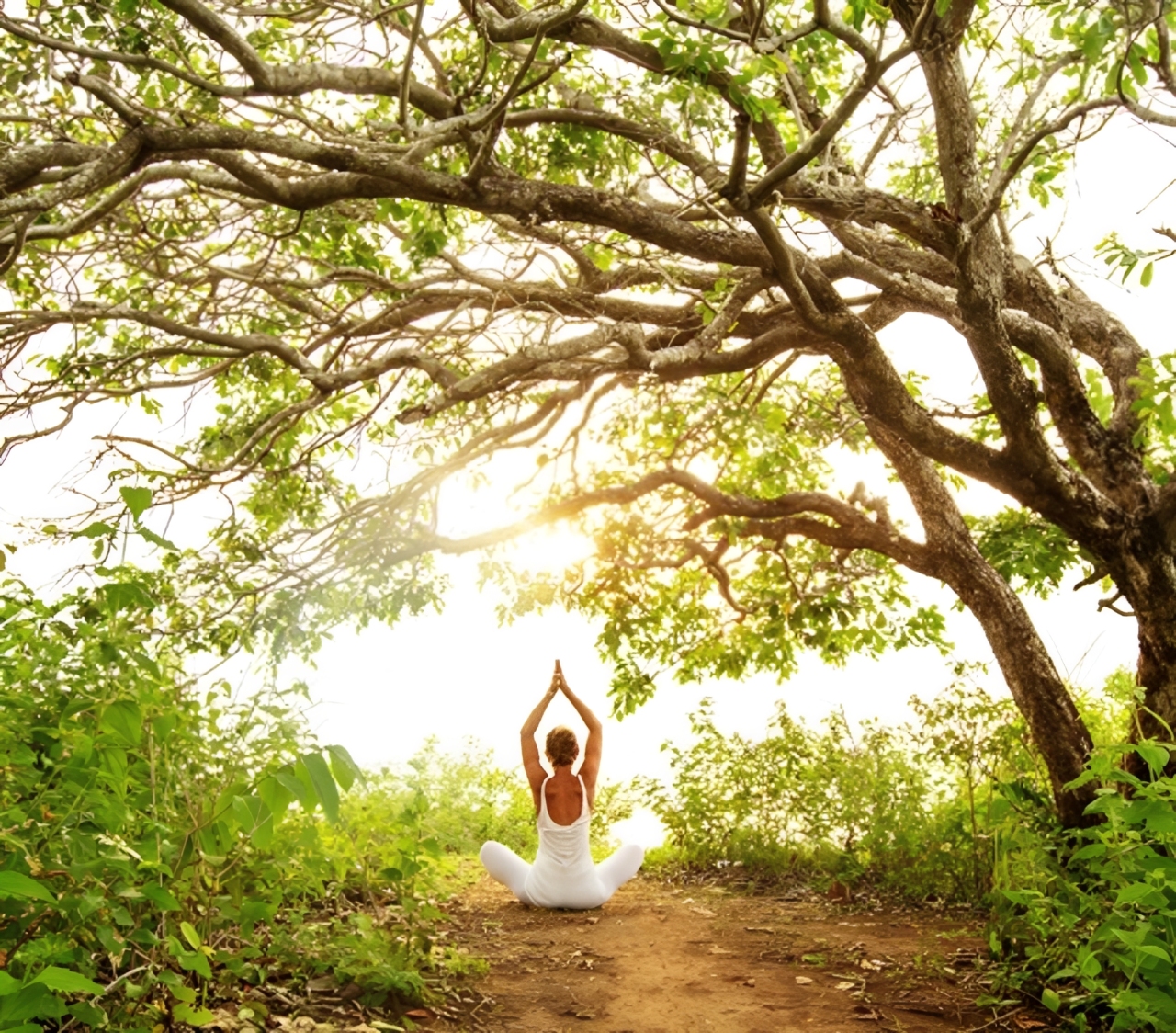 リーンノート,ヘナ,天然ヘナ,白髪染め,カラーリング,通販