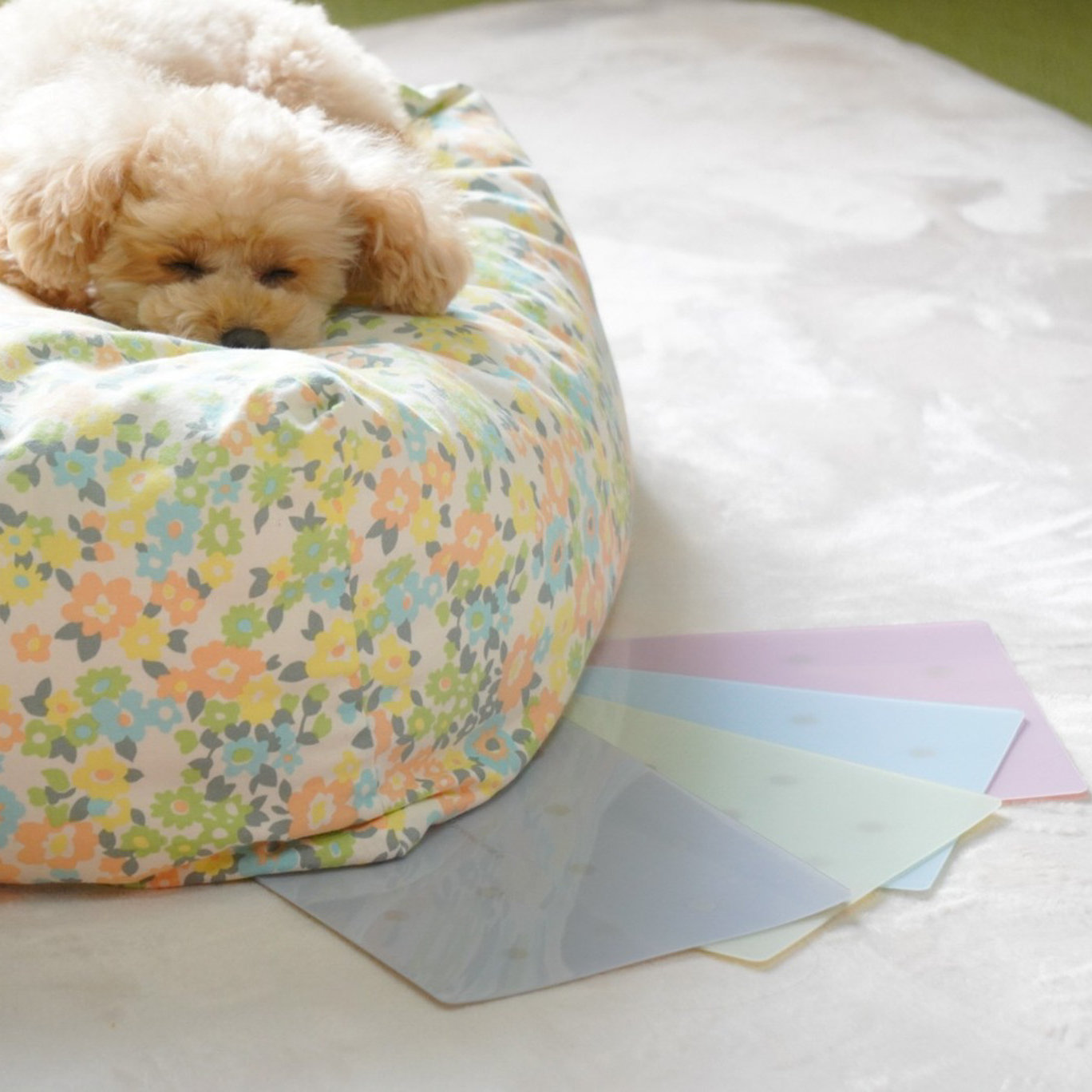 大切なペットの電磁波対策＆ストレスケアのサポートに アニマル