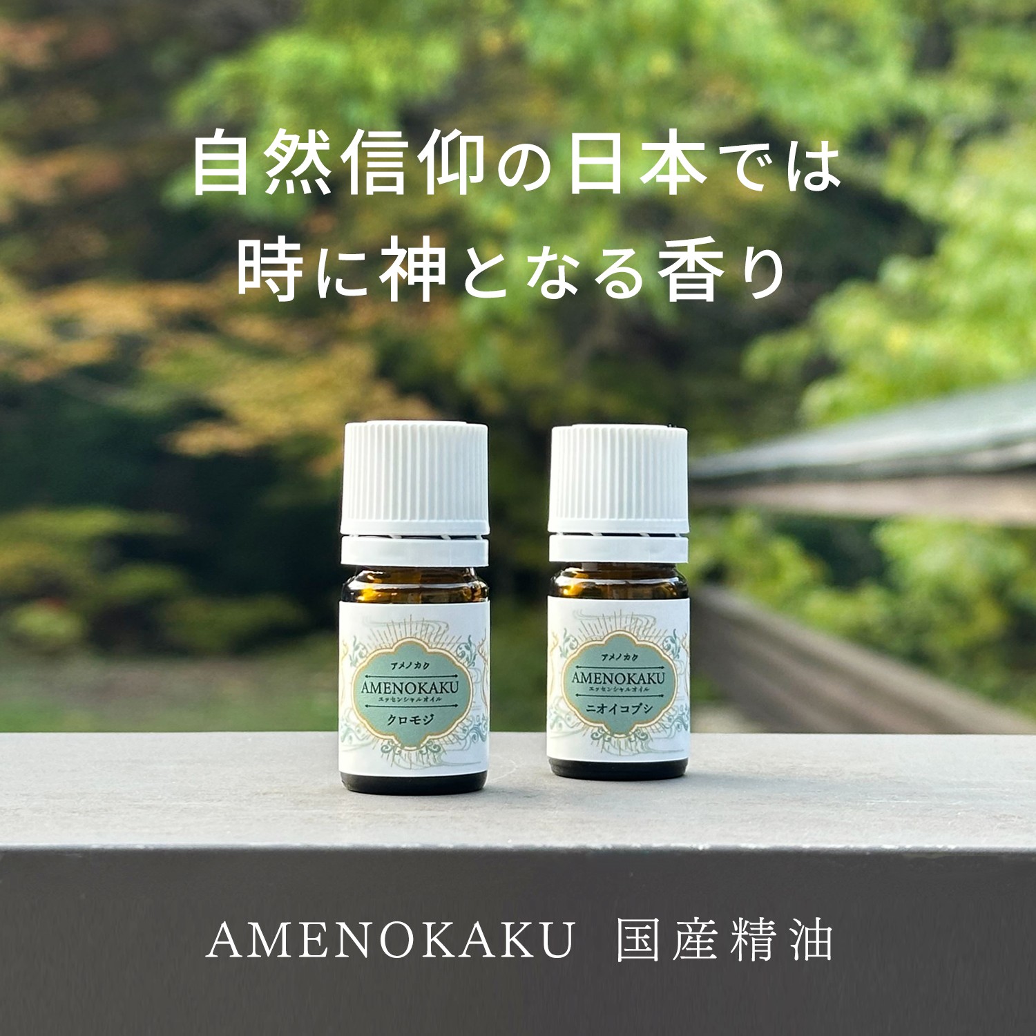 クロモジ,ニオイコブシ.黒文字,精油,通販