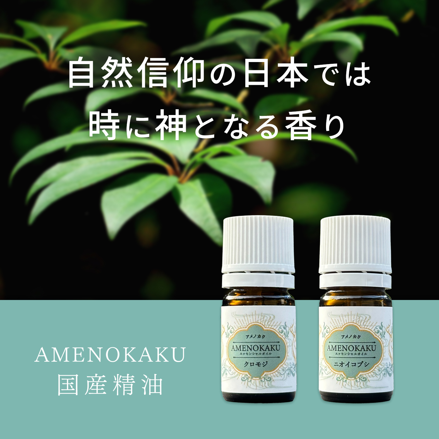 クロモジ,黒文字,精油,通販