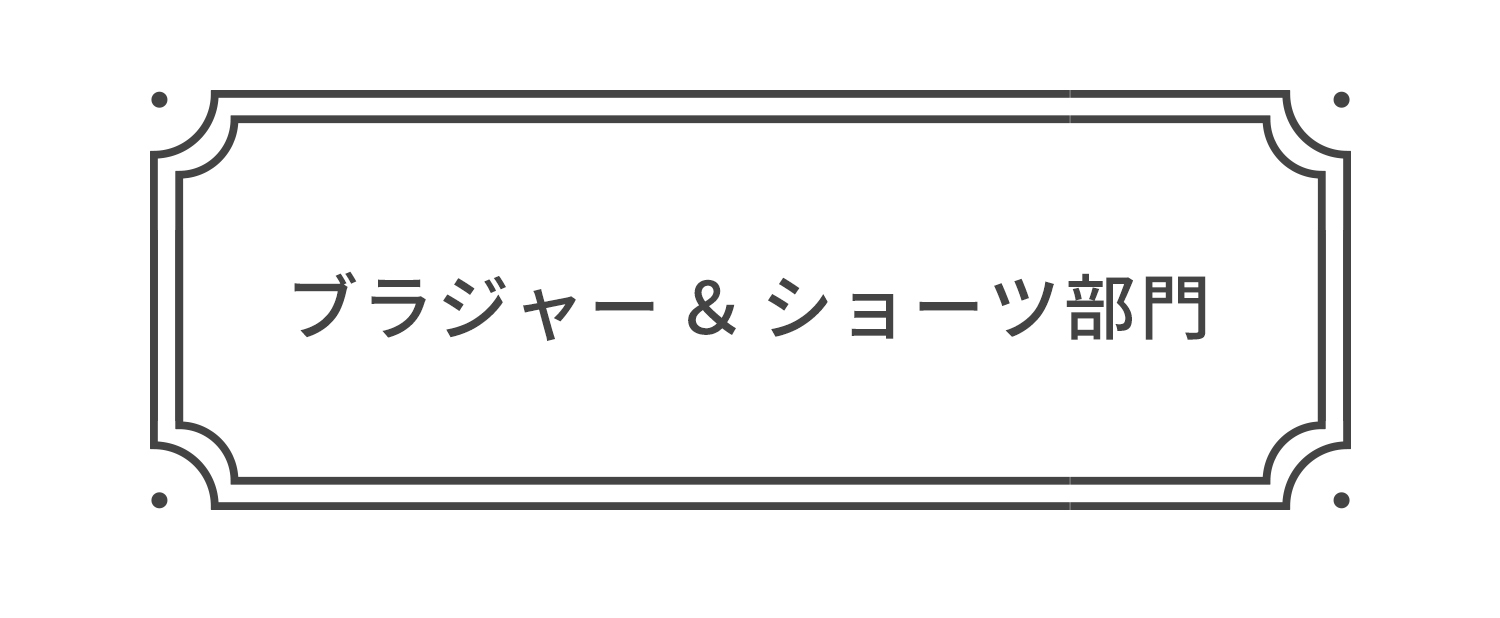 ブラジャーショーツ部門