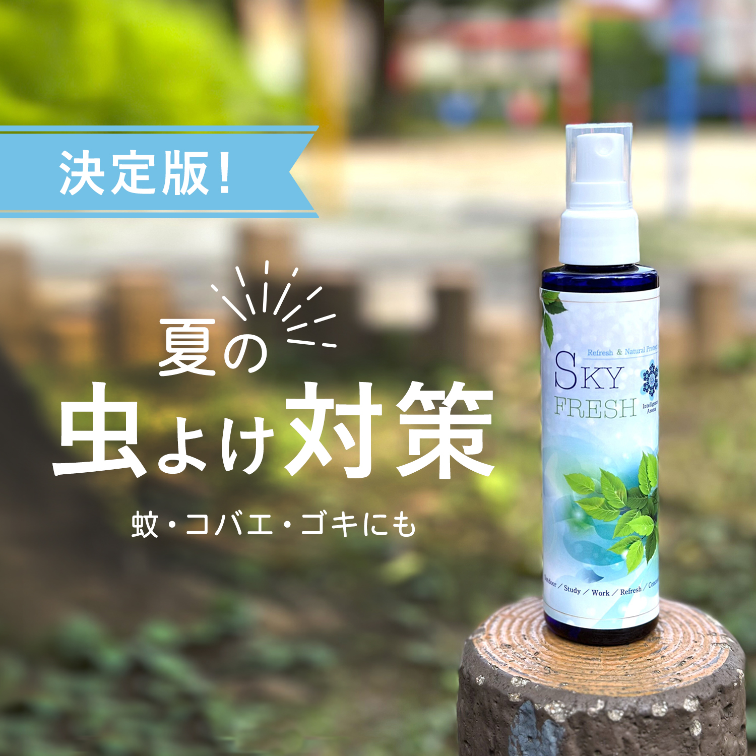 虫除け対策特集