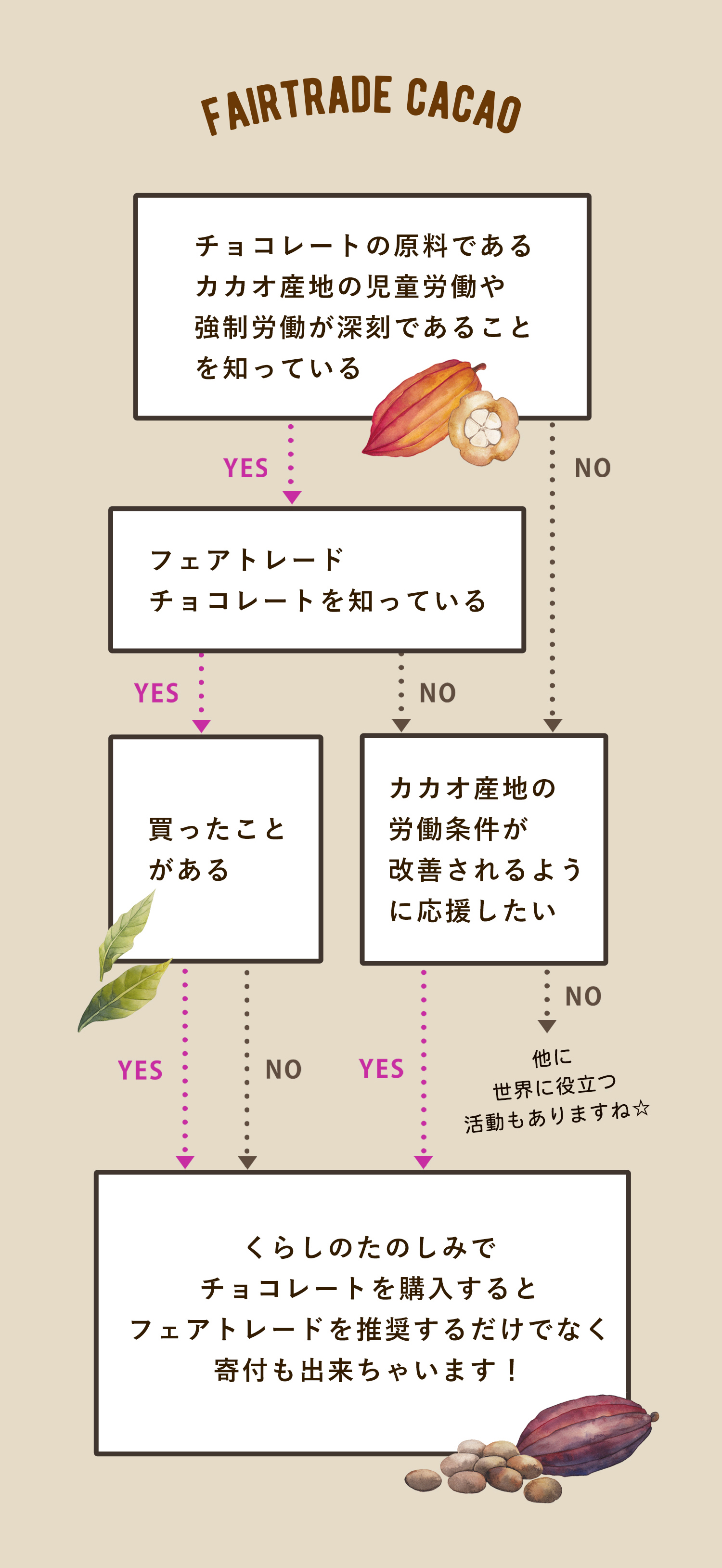 カカオ51 砂糖不使用 バレンタインご褒美に オーガニック原料3種類だけで