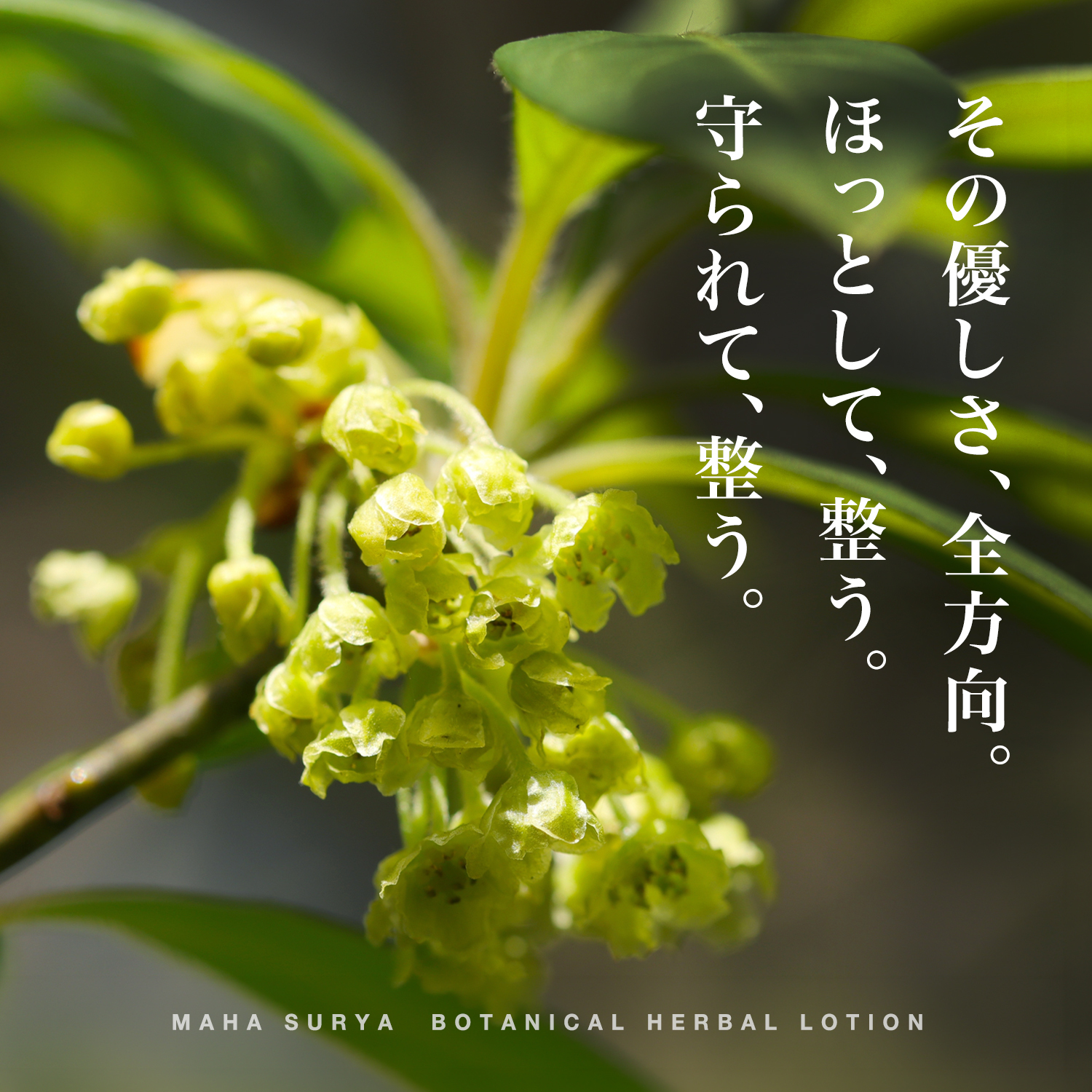 カーミングローション,敏感肌,通販