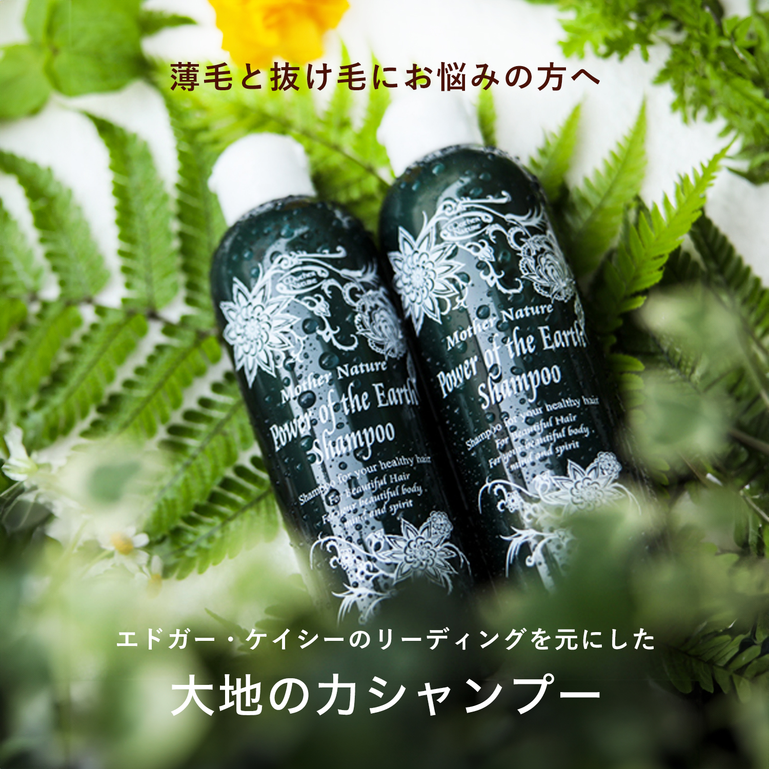 大地の力シャンプー