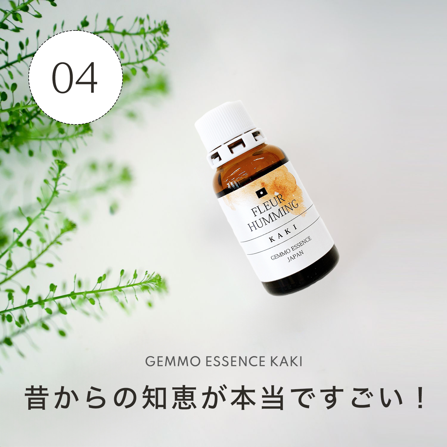 昔からの知恵が本当ですごい！和ジェモカキ