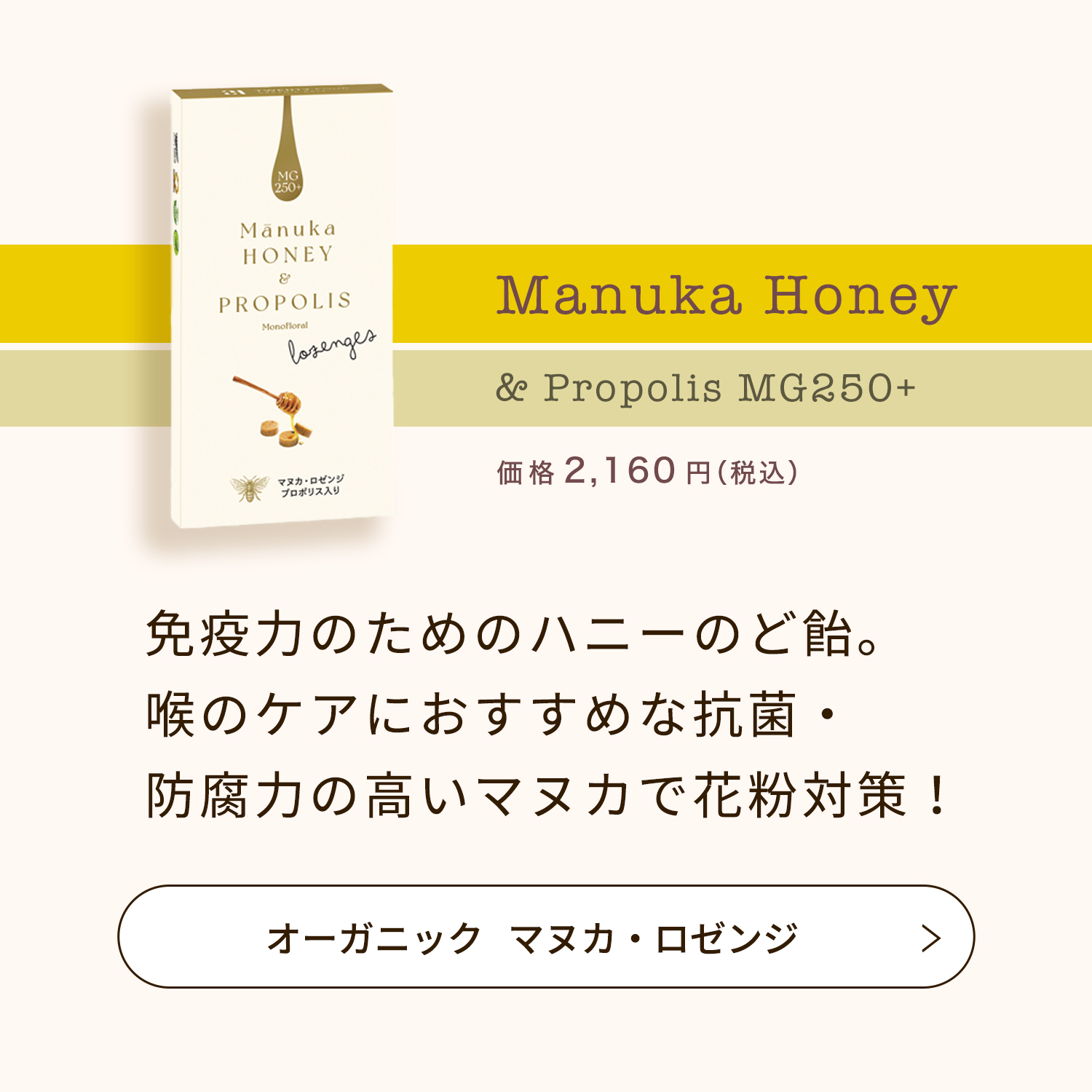 ハニーデューハニーエキナセア