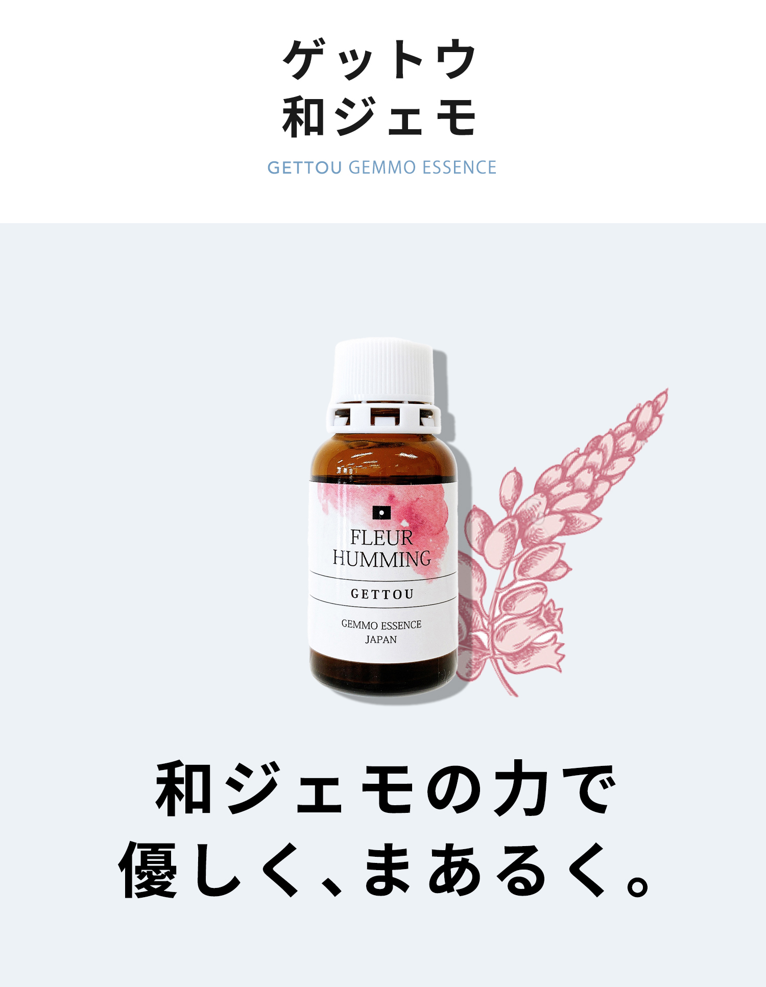 和ジェモ月桃