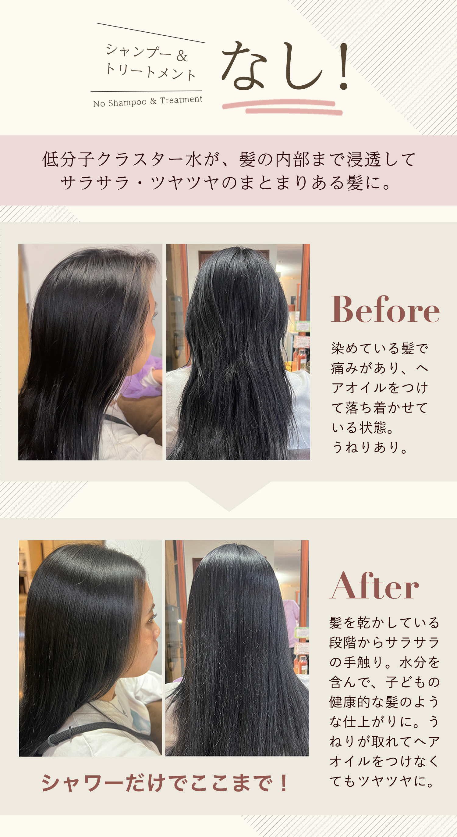 シンエルメック,シャワーヘッド,通販