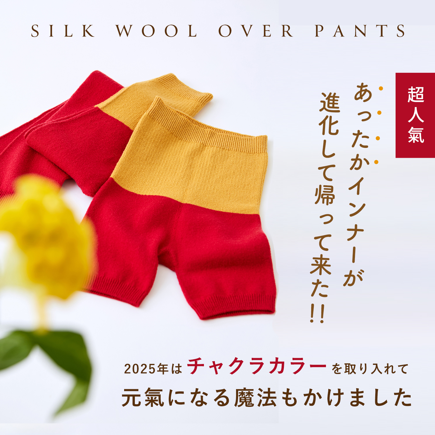 シルクウールオーバーパンツ,冷えとり,絹,毛糸のパンツ,ウール,通販