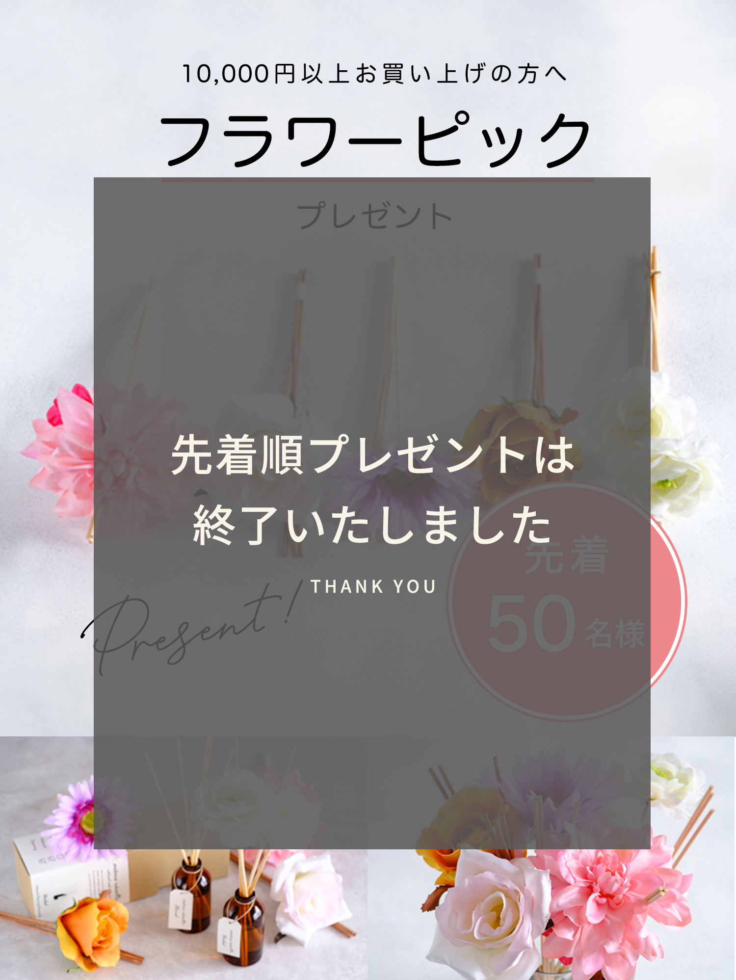 プラワーピック先着順プレゼント終了いたしました