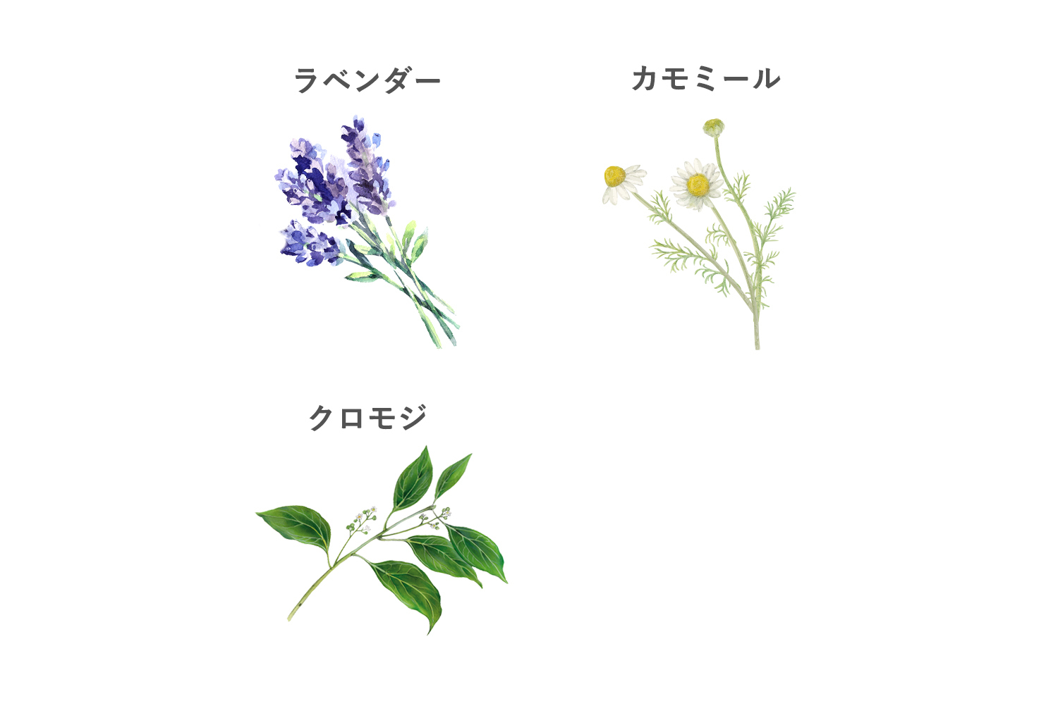 カーミングローション,敏感肌,通販
