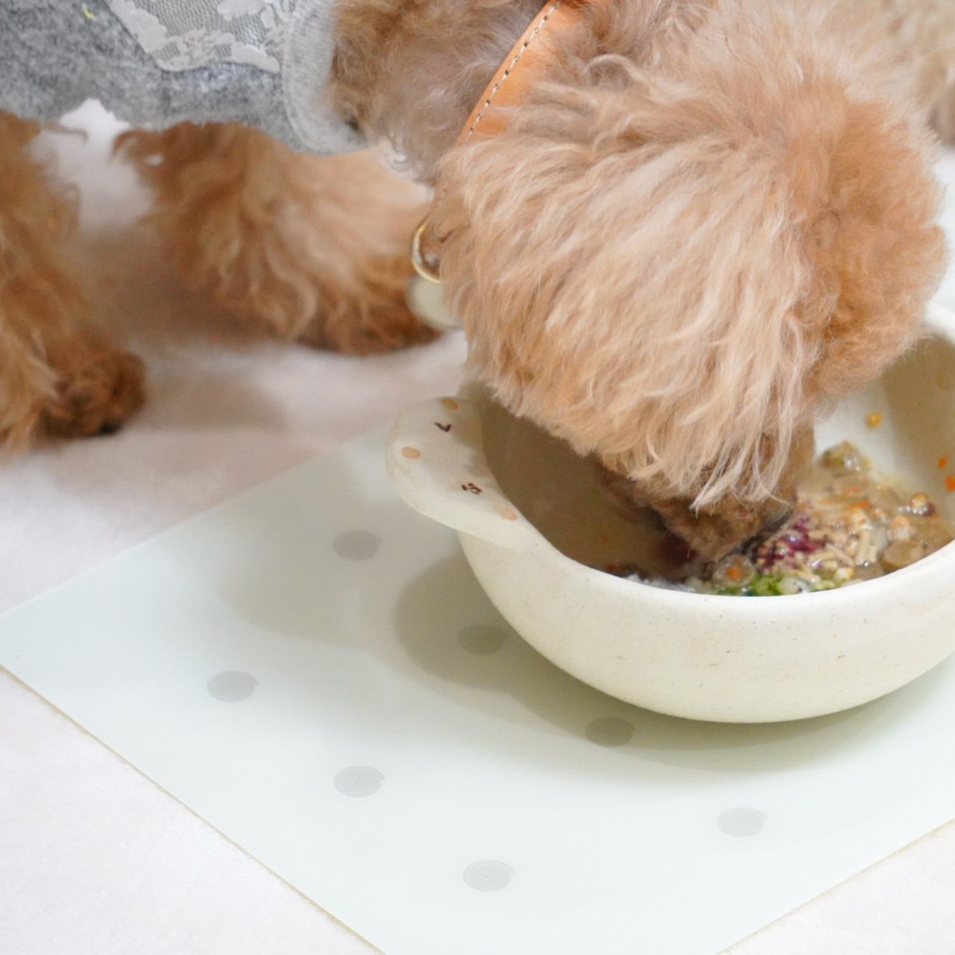 大切なペットの電磁波対策＆ストレスケアのサポートに アニマル