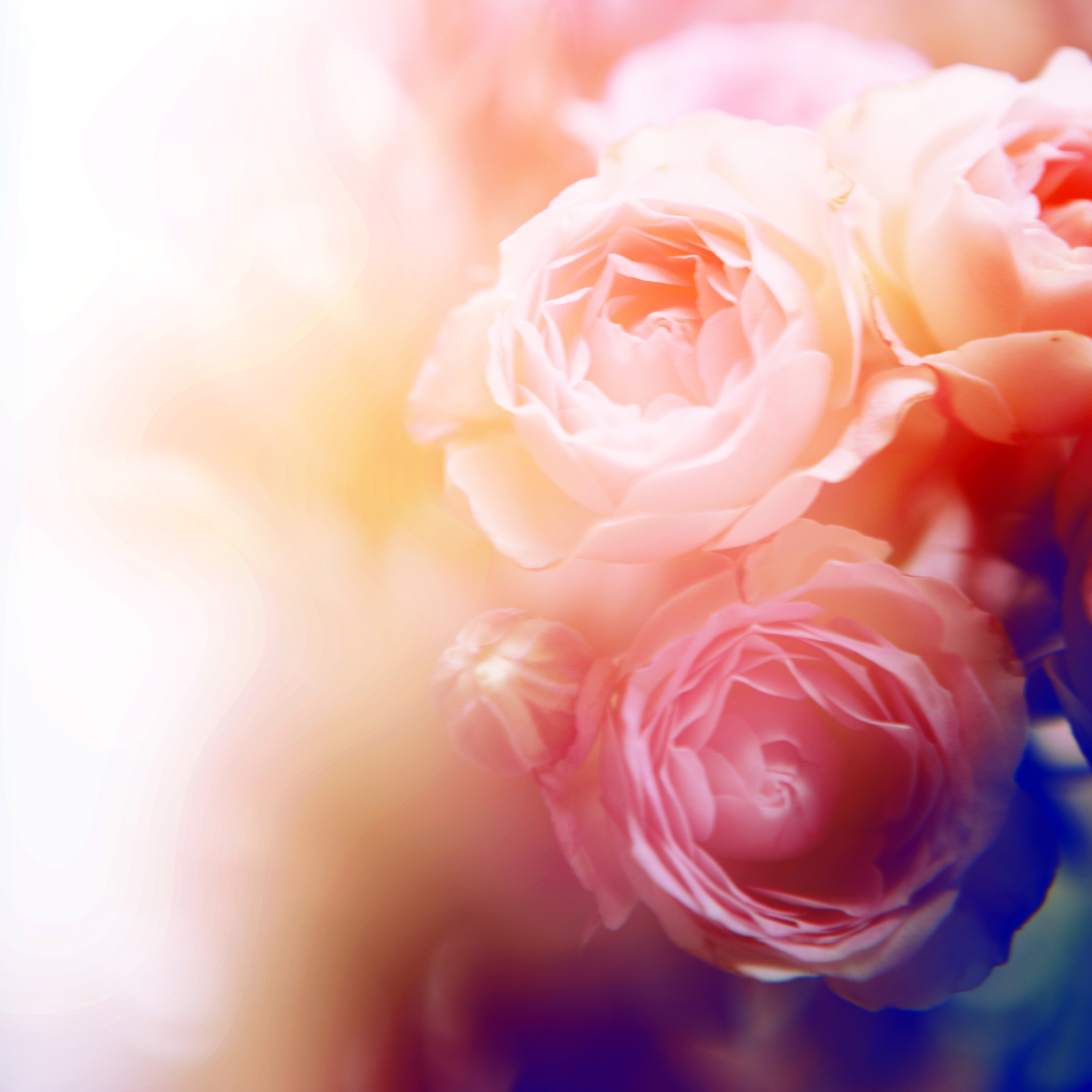 ※画像を削除する際のご注意