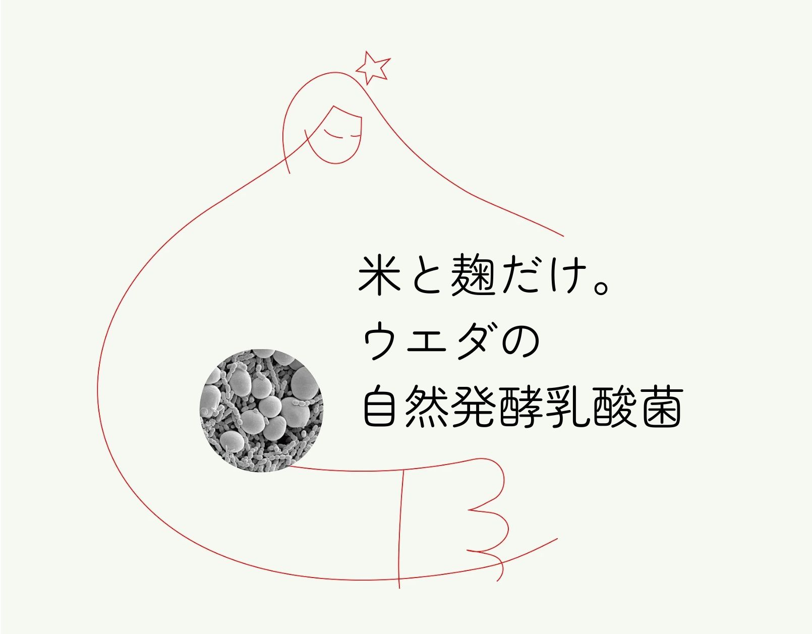 ウエダの自然発酵乳酸菌,通販