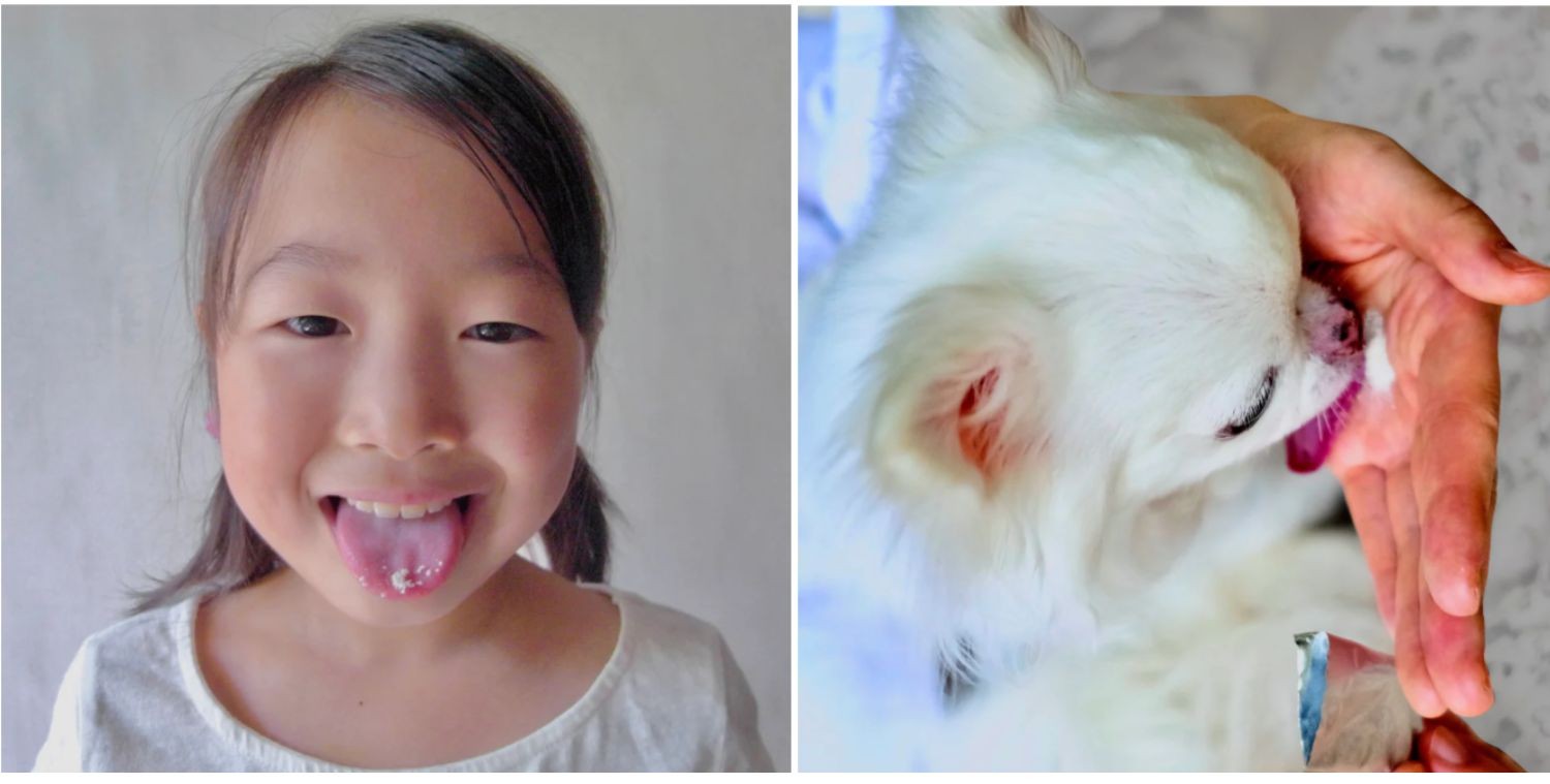 ウエダ家の自然発酵乳酸菌,便秘,乳酸菌,ぬか漬け,糠漬け,腸内環境,オーガニック,麹,マクロビオティック.通販