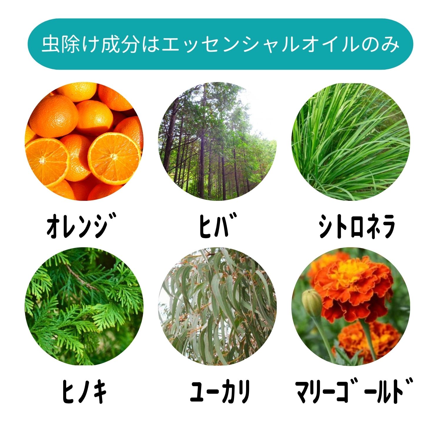 虫よけスプレー,虫除けスプレー,虫よけ対策,蚊除け,蚊よけ,NATURAPLUS,忌避,防虫,ハーブ,アロマ,植物成分,ガード,天然,蚊対策,通販