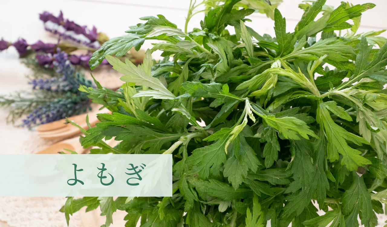 ウォームライナー,オーガニックコットン,温活,通販