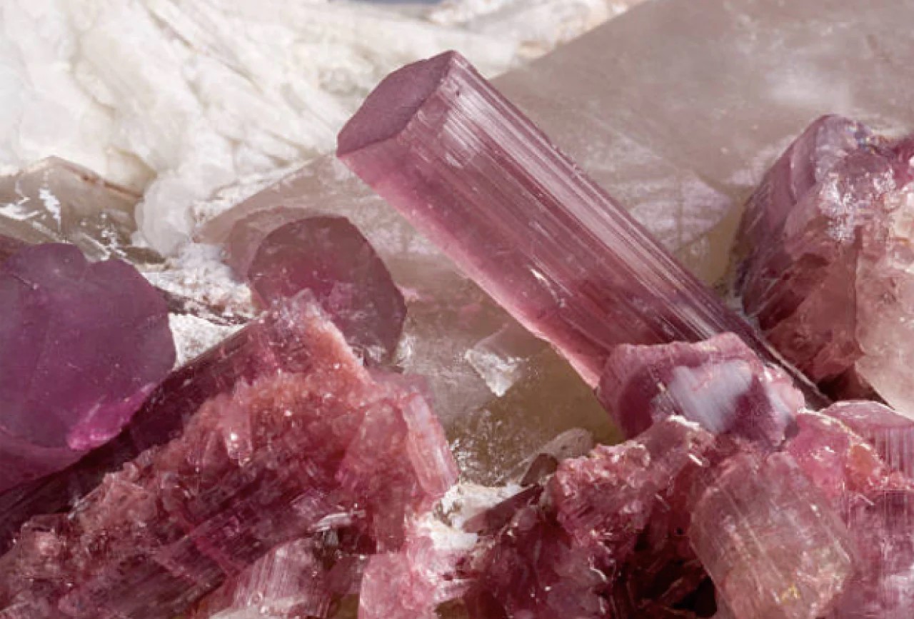 ウォームライナー,オーガニックコットン,温活,通販