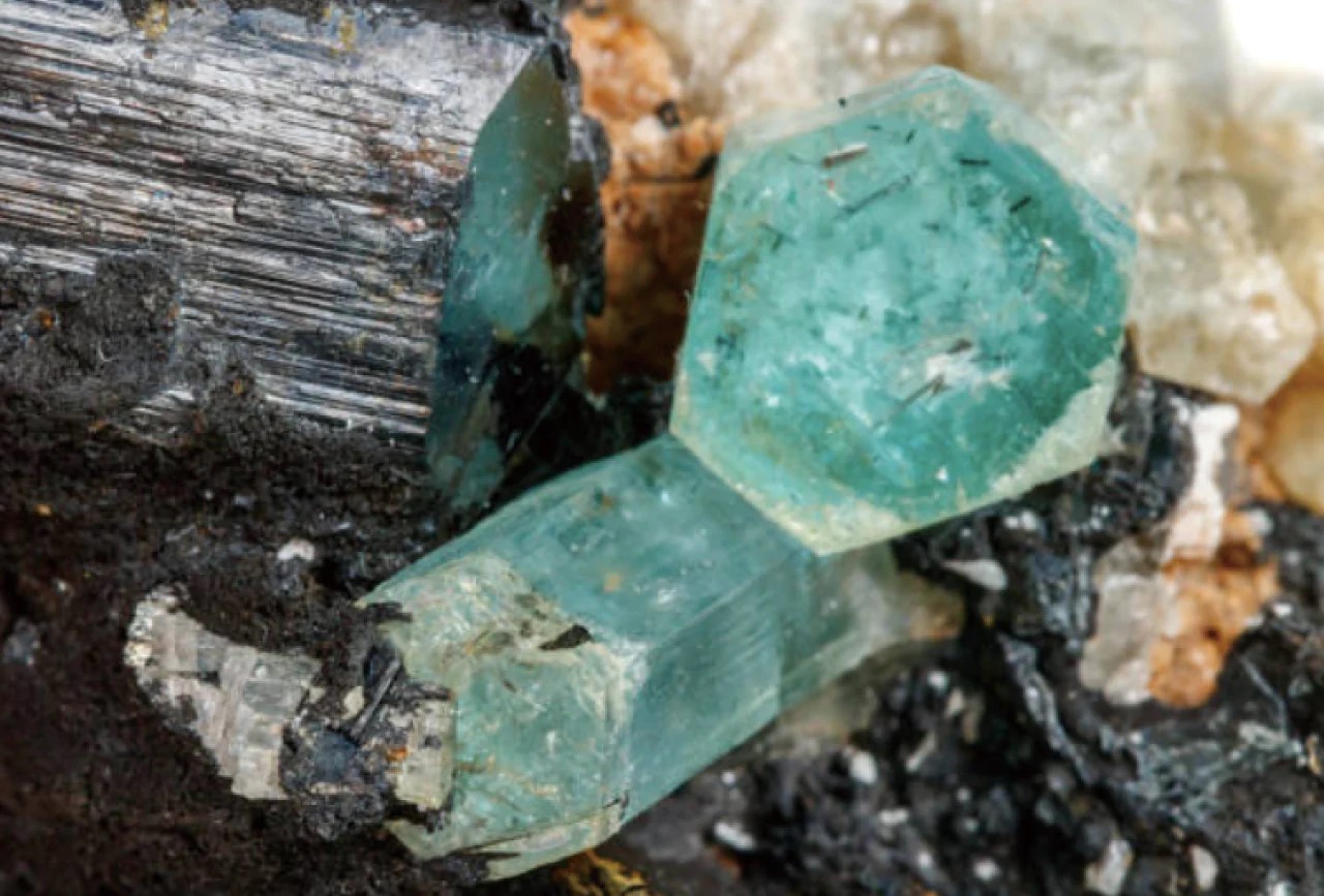 ウォームライナー,オーガニックコットン,温活,通販