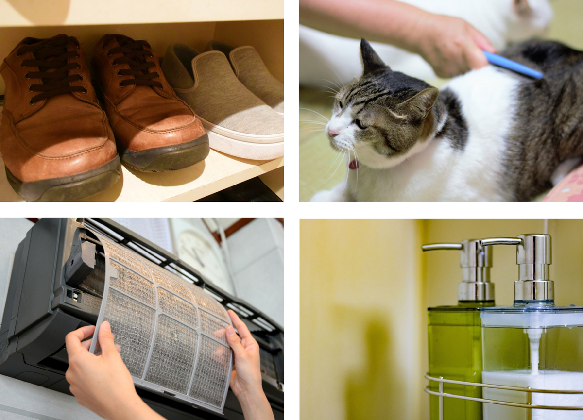 シングレース,イヤシロチ,通販