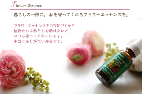 フラワーエッセンス,T1 Essence,通販