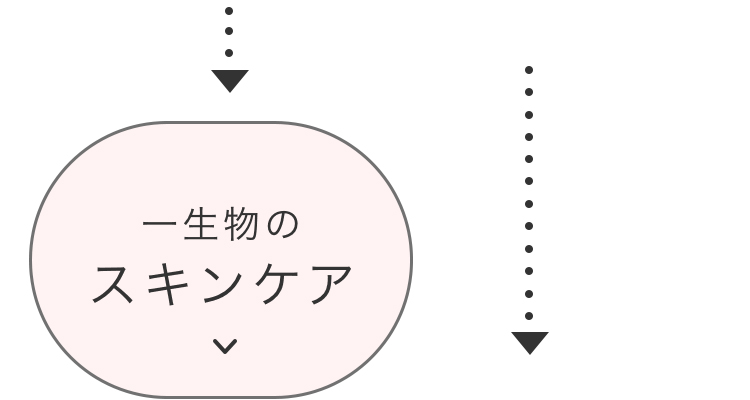 母の日2024,チャート,ボタン