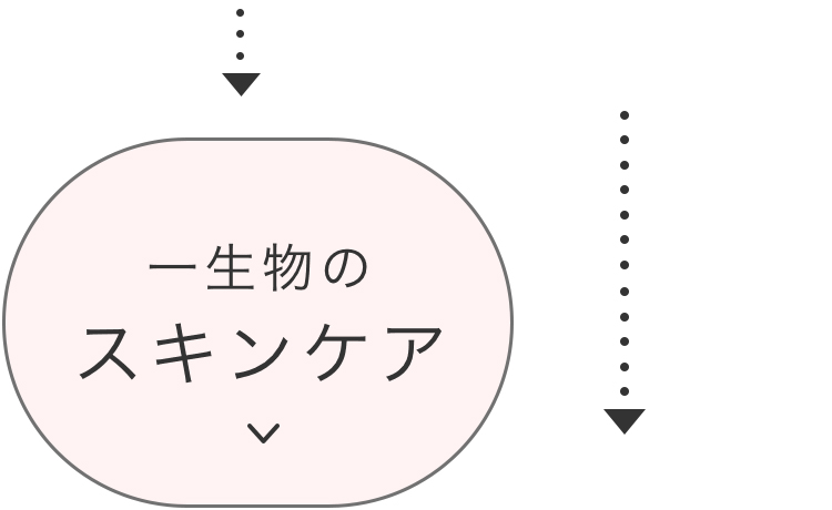 母の日2024,チャート,ボタン