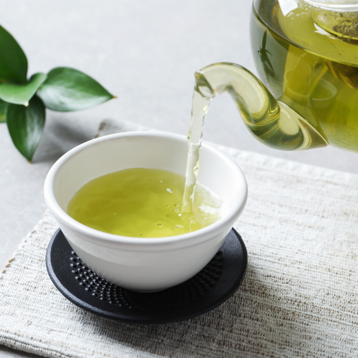 縄文のお茶,有機栽培,オーガニック,葉っピイ向島園,無農薬,人気,ギフト,通販