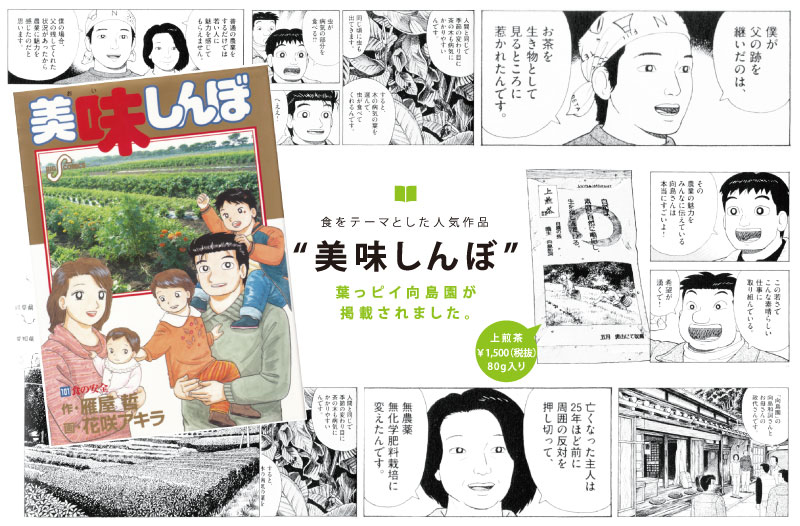 縄文のお茶,有機栽培,オーガニック,葉っピイ向島園,無農薬,人気,ギフト,通販