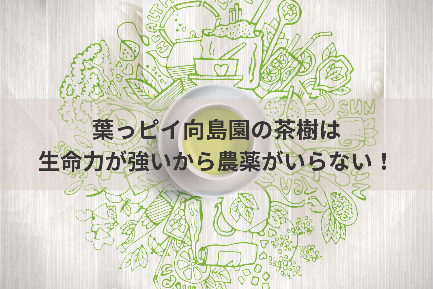 縄文のお茶,有機栽培,オーガニック,葉っピイ向島園,無農薬,人気,ギフト,通販
