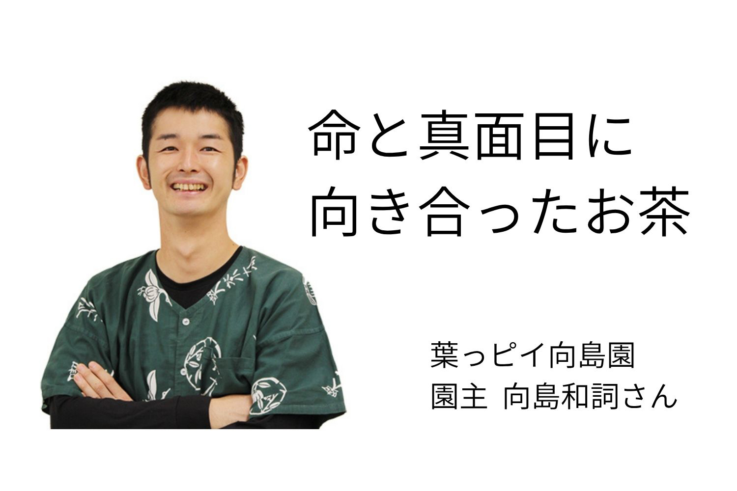縄文のお茶,有機栽培,オーガニック,葉っピイ向島園,無農薬,人気,ギフト,通販