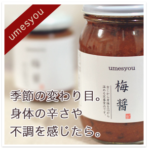 梅醤