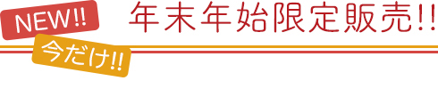 今だけ年末年始限定販売