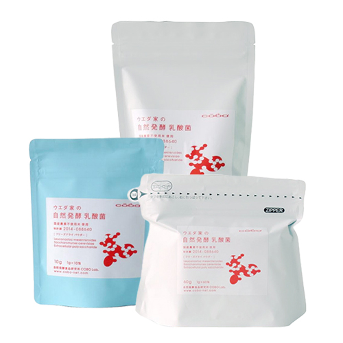 自然発酵乳酸菌