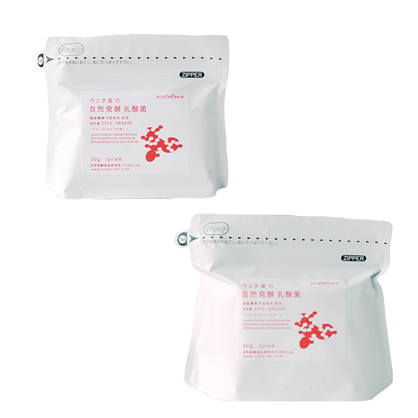 ウエダ家の自然発酵乳酸菌 1g×30包