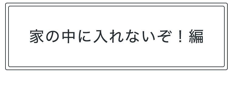 家の中に入れないぞ！編