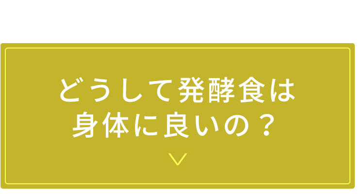 どうして発酵食は身体に良いの？