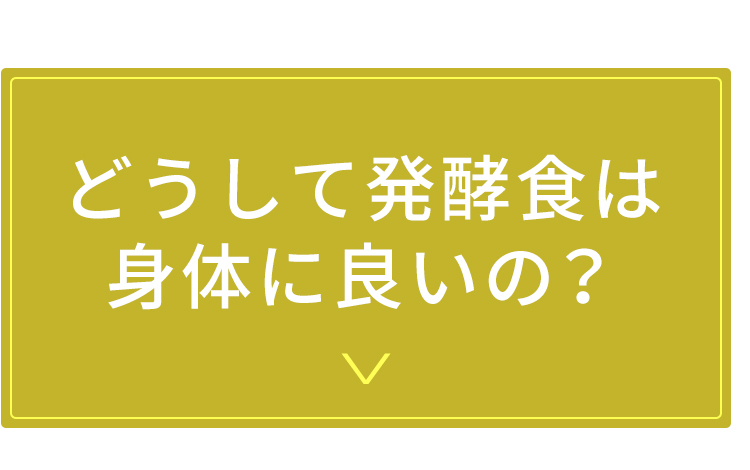 どうして発酵食は身体に良いの？