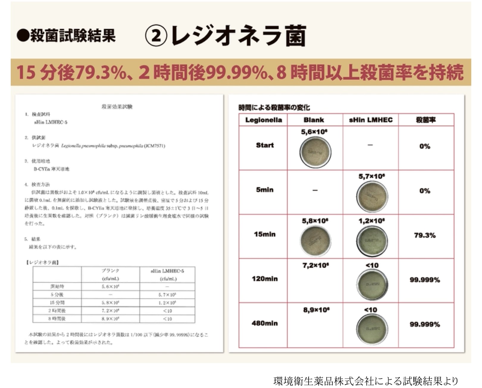 シンエルメック,シャワーヘッド,通販