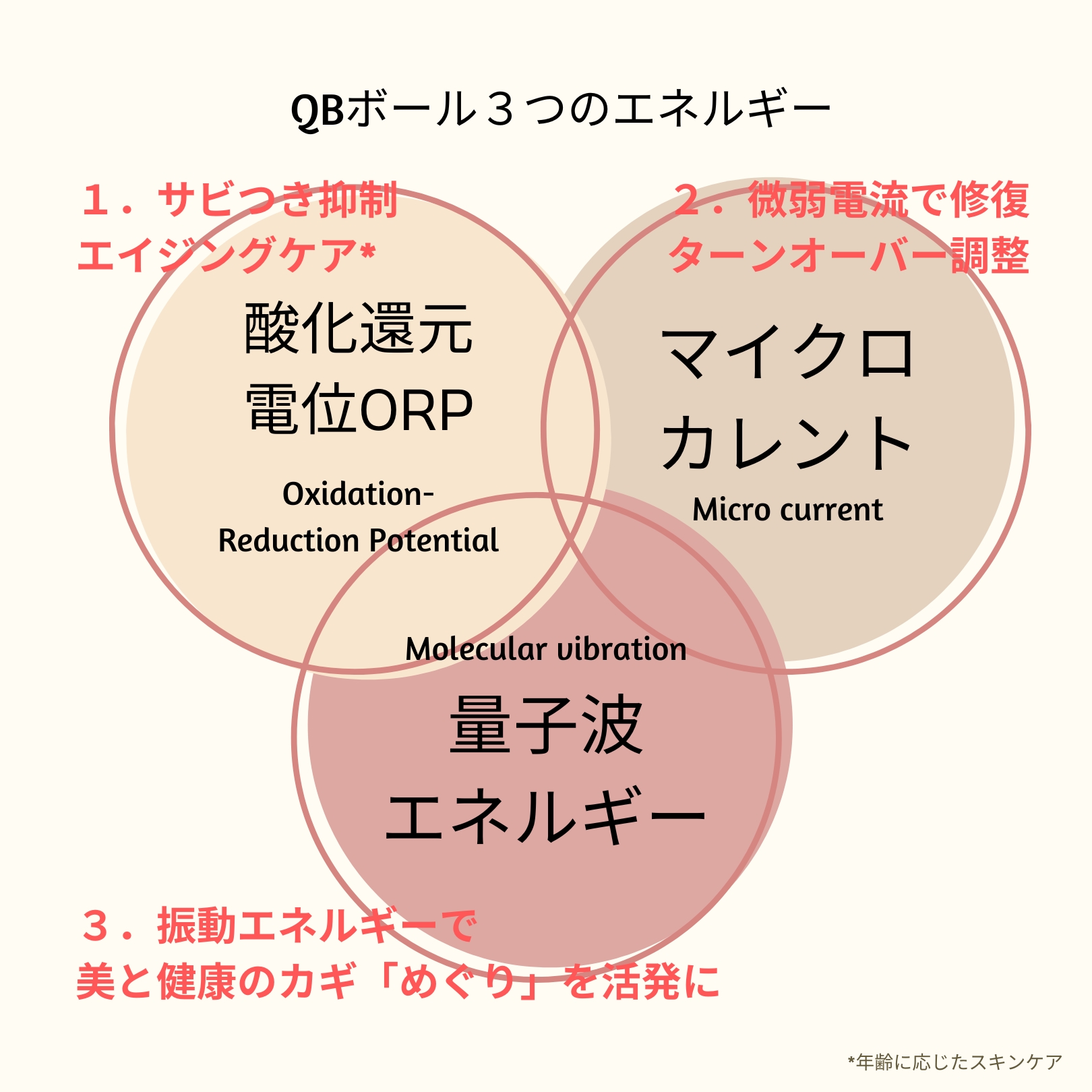 シンエルメック,シャワーヘッド,通販