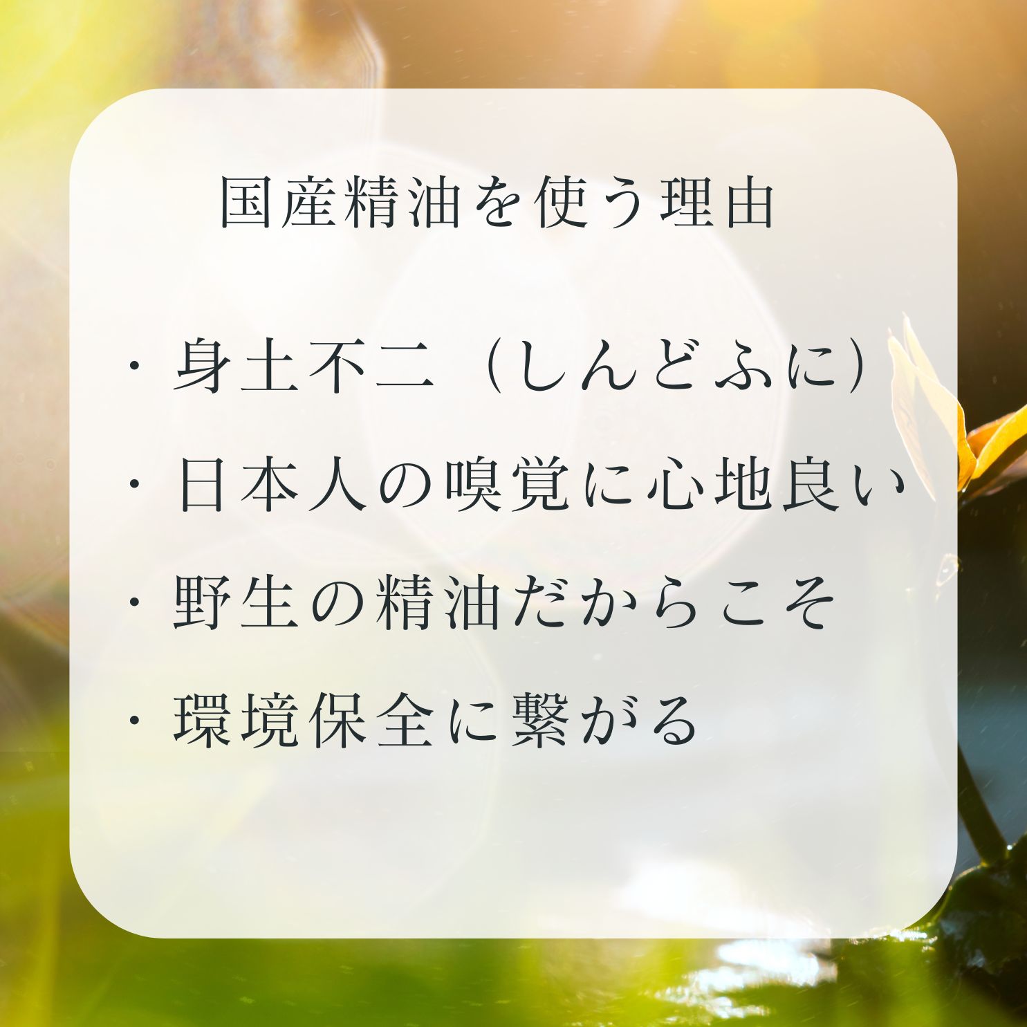 クロモジ,黒文字,精油,通販