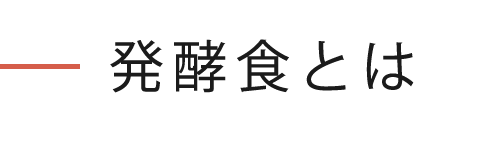 発酵食とは