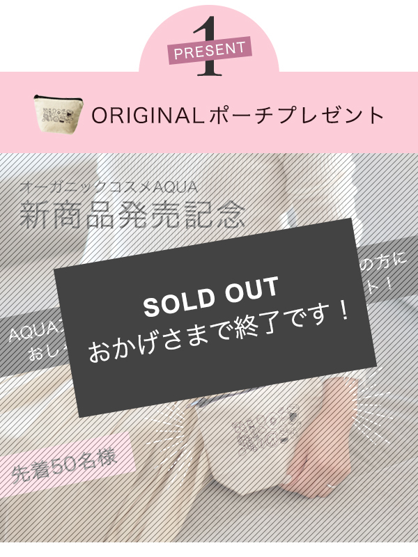 ポーチプレゼント