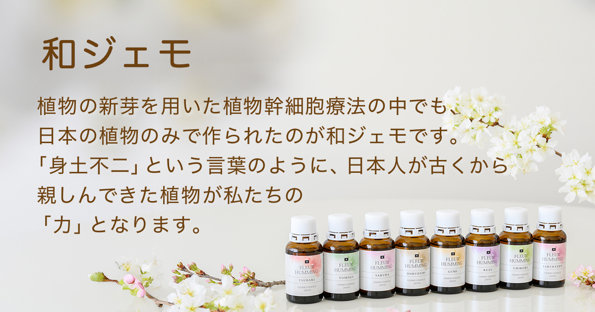和ジェモ