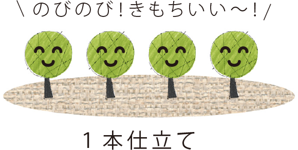 縄文のお茶,有機栽培,オーガニック,葉っピイ向島園,無農薬,人気,ギフト,通販