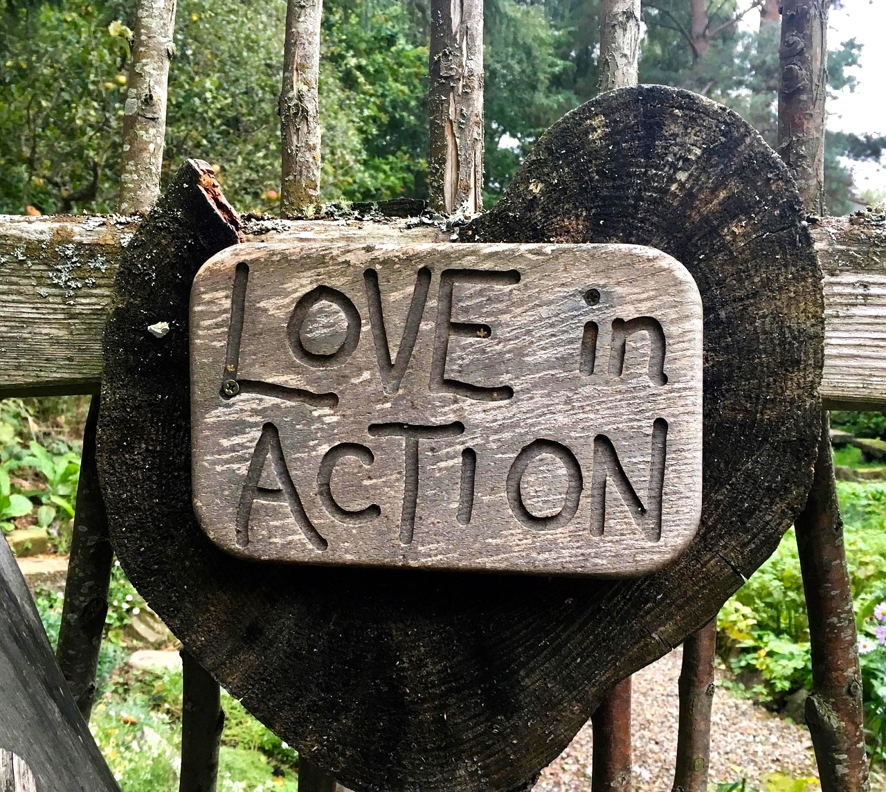 フラワーエッセンス,エロス,フィンドホーン,通販