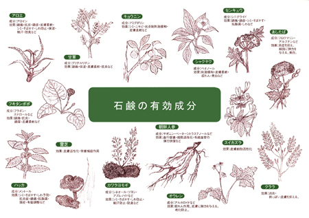 洗顔石鹸,石けん,薬草,朝鮮人参,エタージュリフレッシュソープ,美白,ホワイトニング,透明感,通販